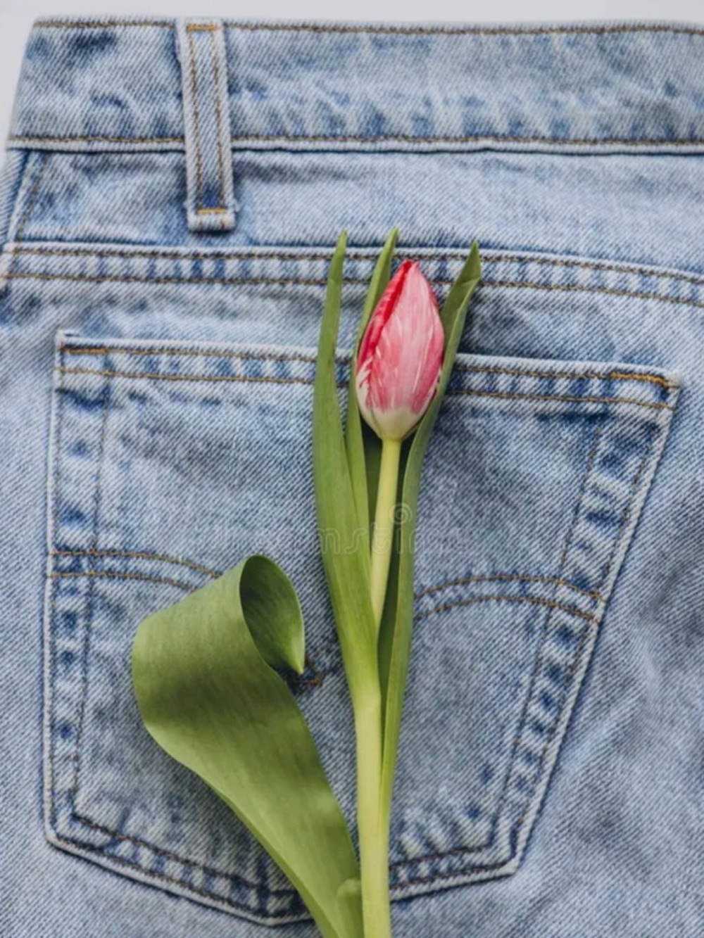 Women’s Pants